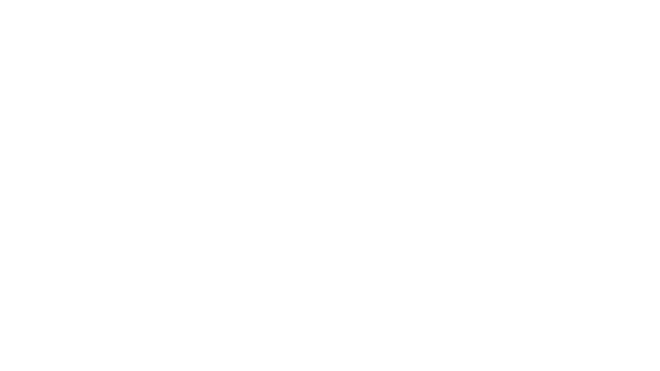 asset 16